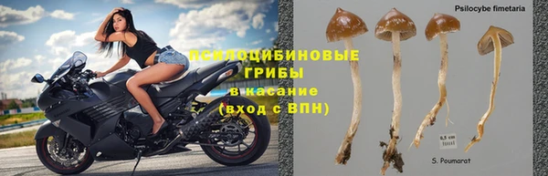 ALPHA-PVP Армянск
