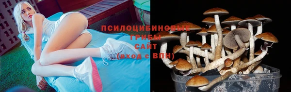 альфа пвп Ачинск