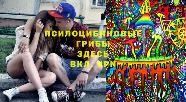 твердый Арсеньев
