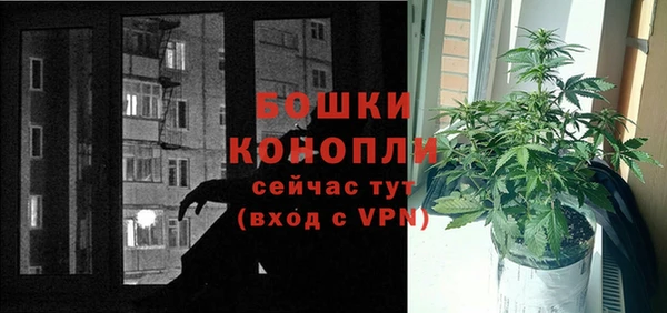 твердый Арсеньев