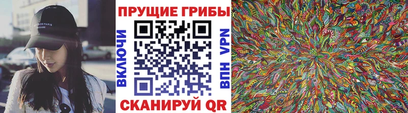 Псилоцибиновые грибы Magic Shrooms Дмитров