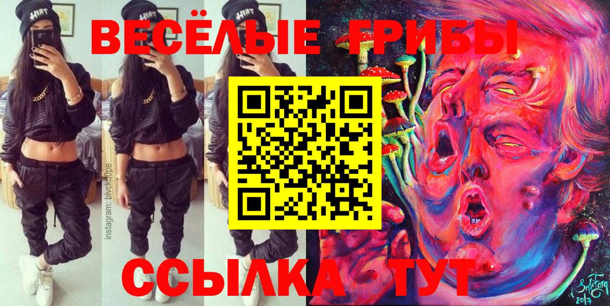 Дмитров  Галлюциногенные грибы Magic Shrooms  Вход с VPN 
